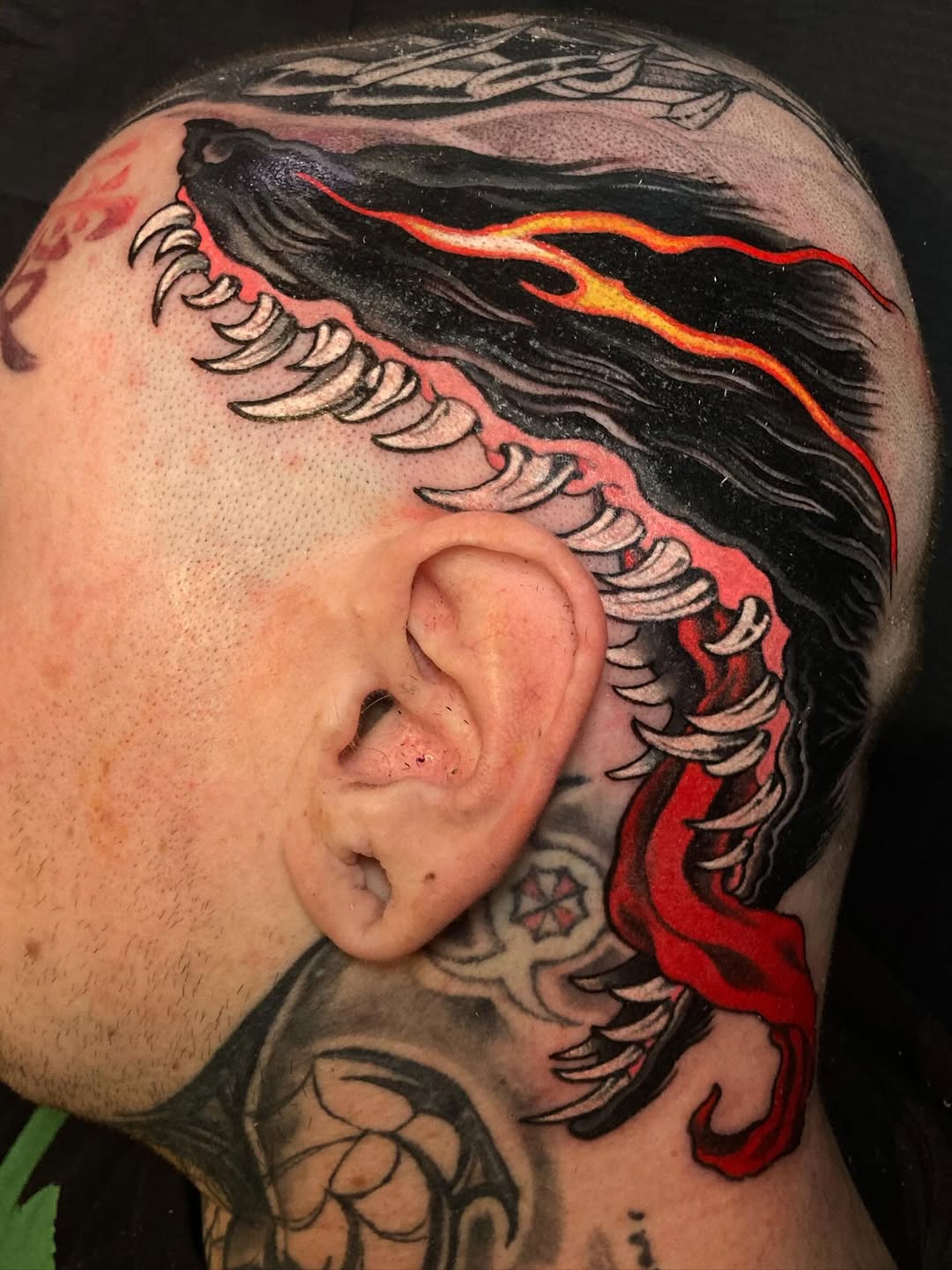 Aaron Riddle work 10