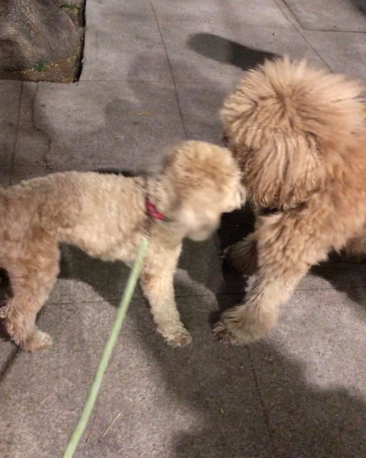 Andrés Santos work 1