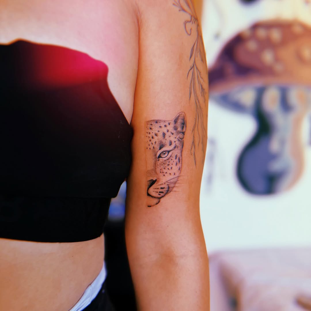 Zara Ilana Solava work 4