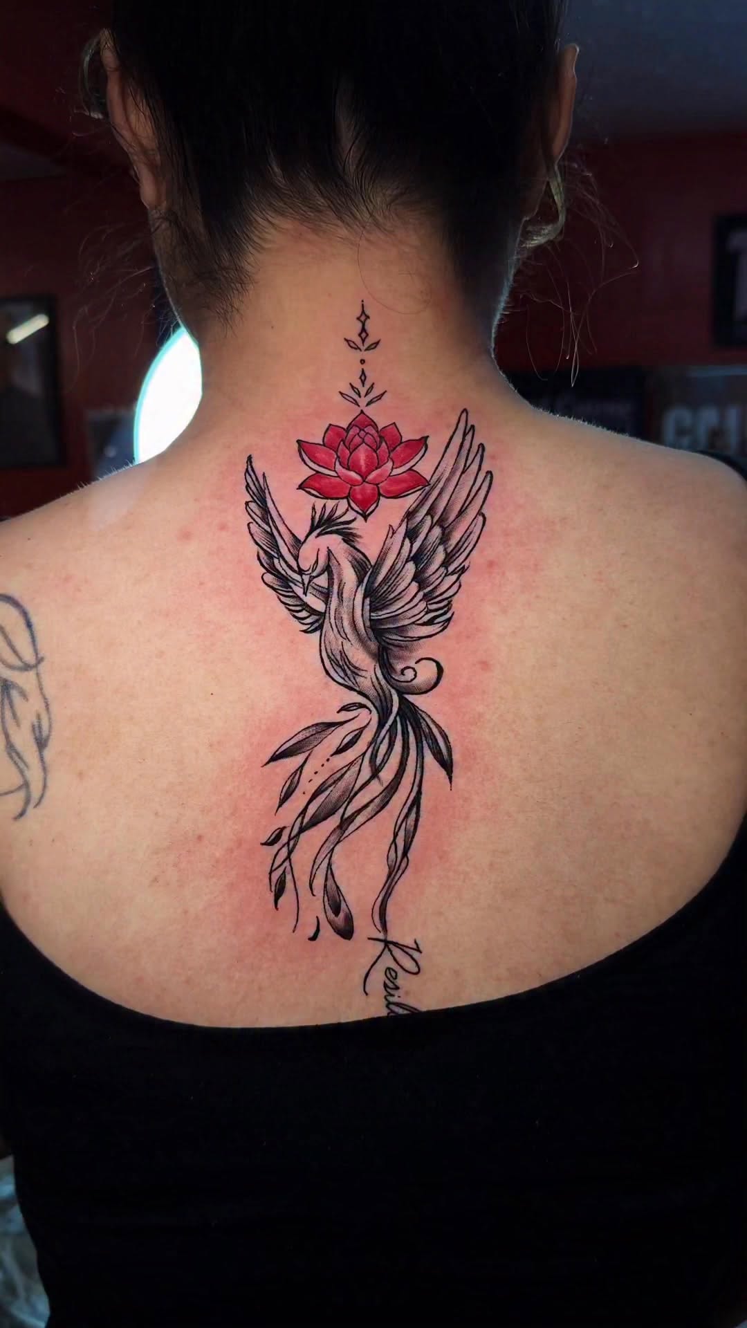 Erick Castañeda work 11