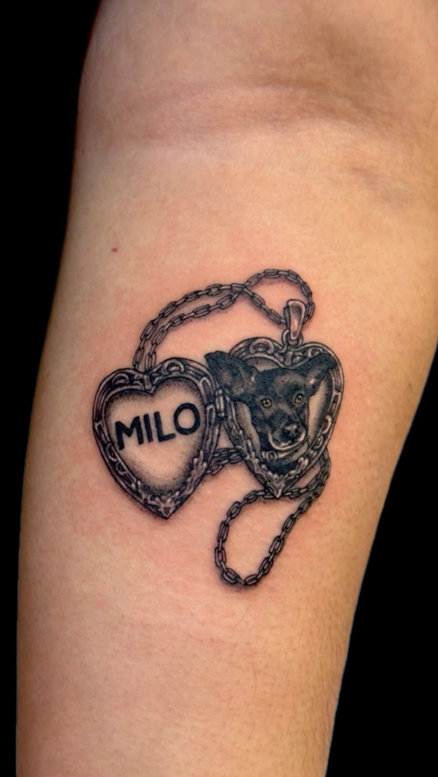 𝓡𝓪𝔂𝓬𝓱𝓲𝓵𝓵 [ᴛᴀᴛᴛᴏᴏ ᴀʀᴛɪꜱᴛ] 💚 work 10